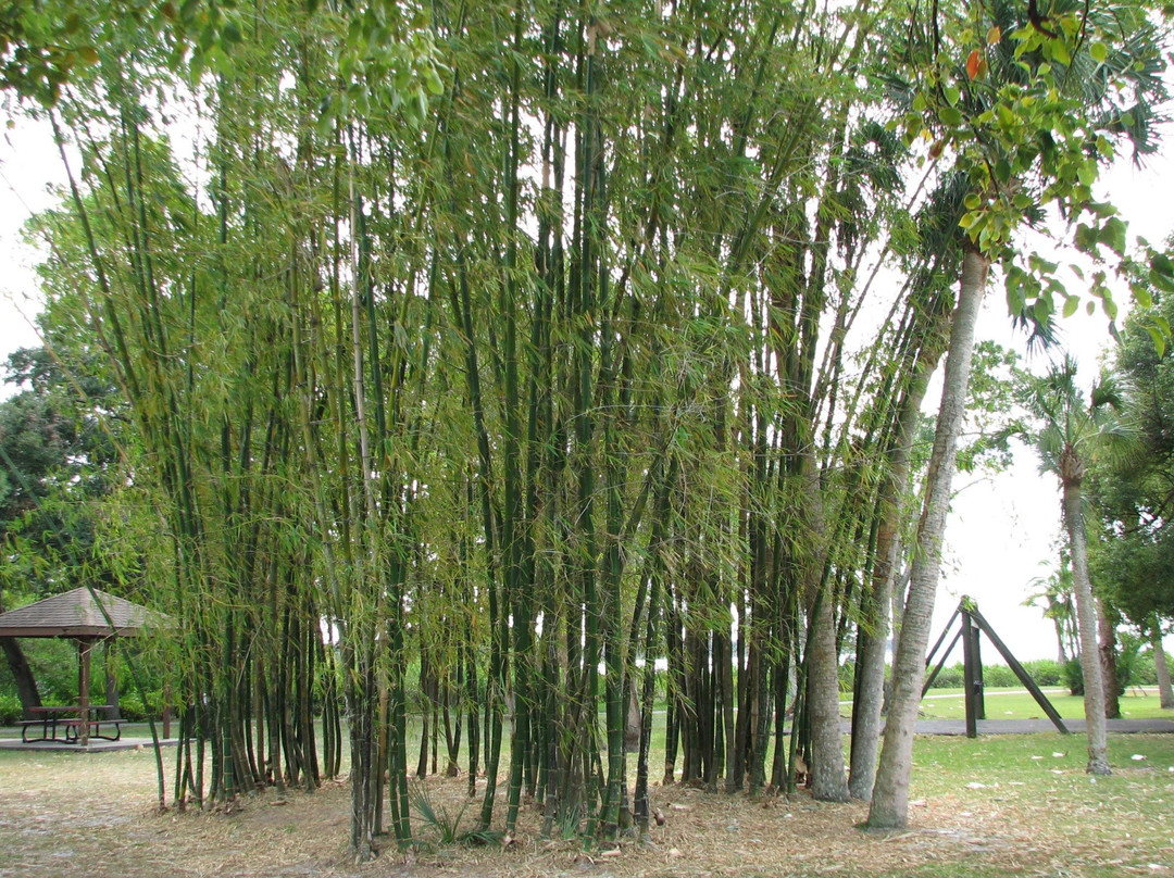 R. E. Olds Park景点图片