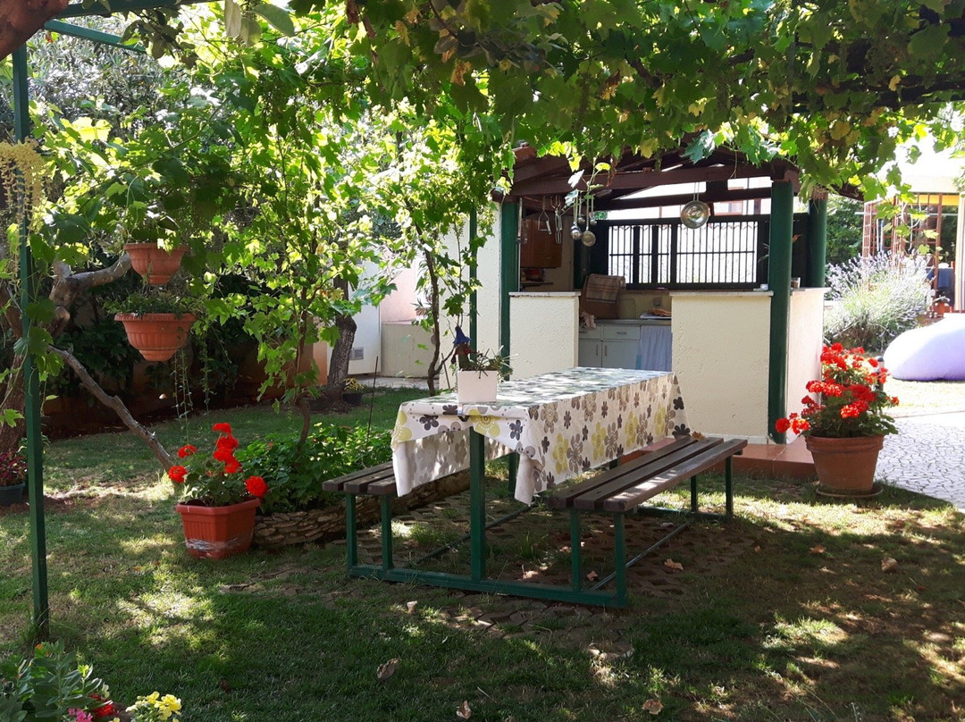 Apartements Bizjak主图