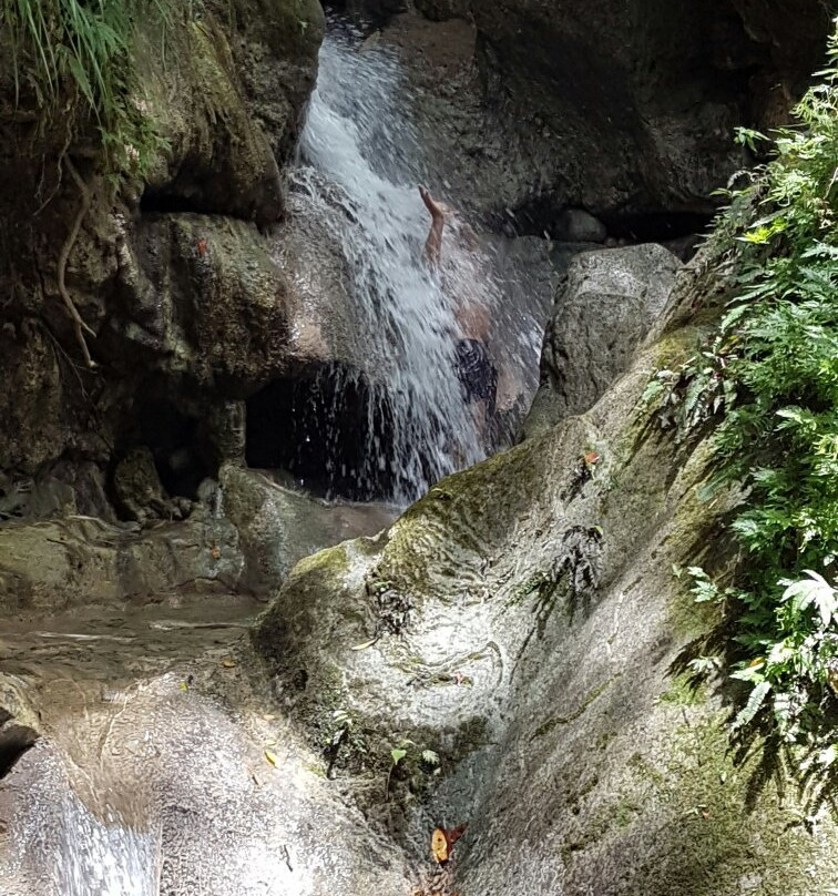 Lime Hall旅游攻略图片