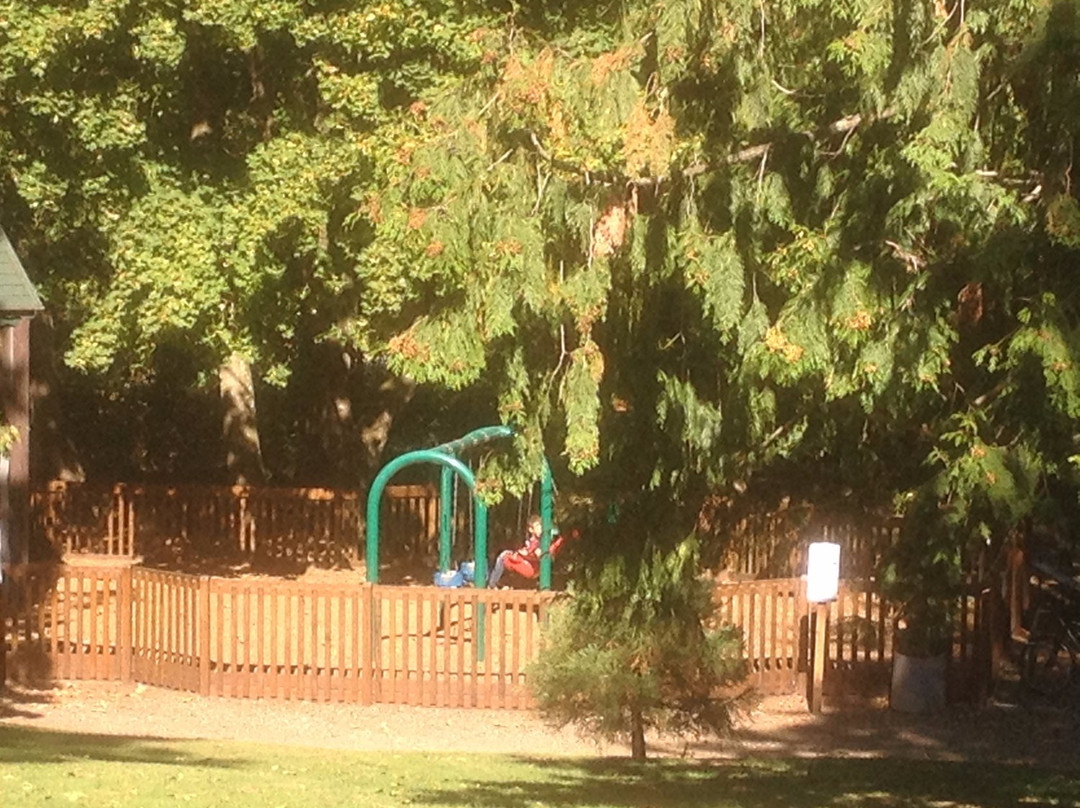 City Park (Million Smiles Playground Park)-Lynden必去景点