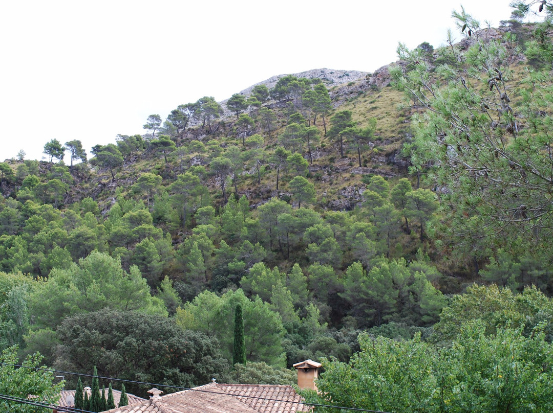 Cuevas de l'Alzinaret-Cala Sant Vicenc必去景点