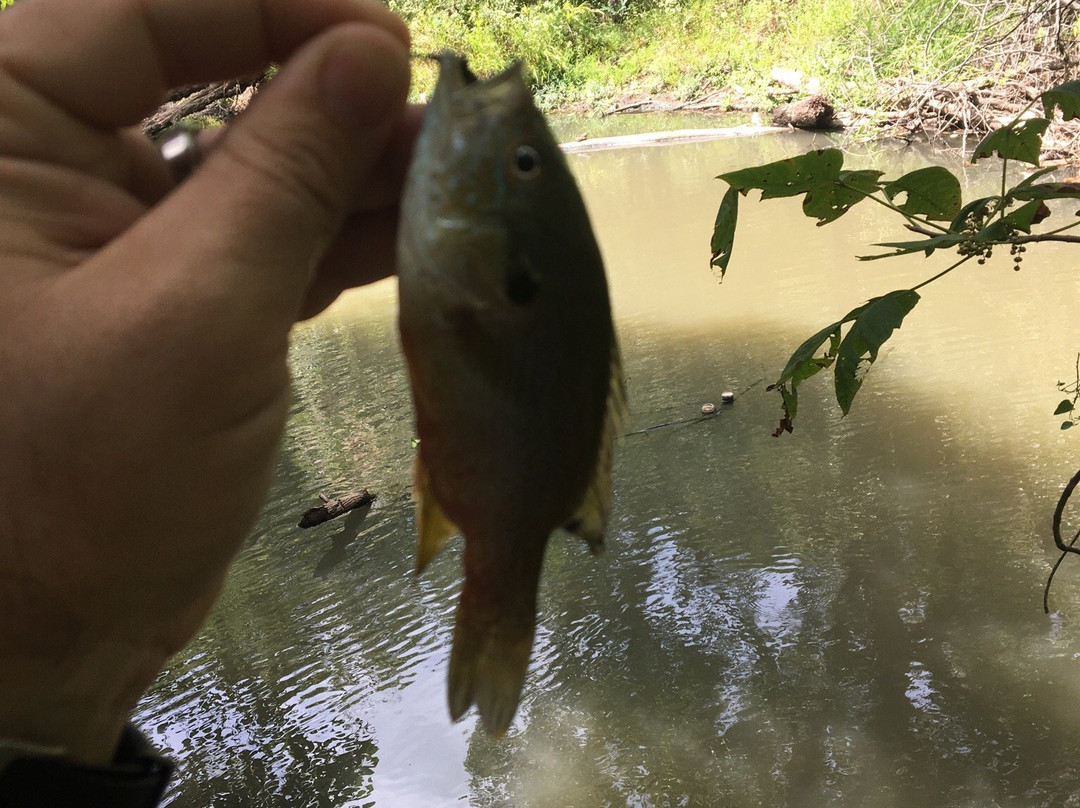 Mohawk Park-塔尔萨必去景点