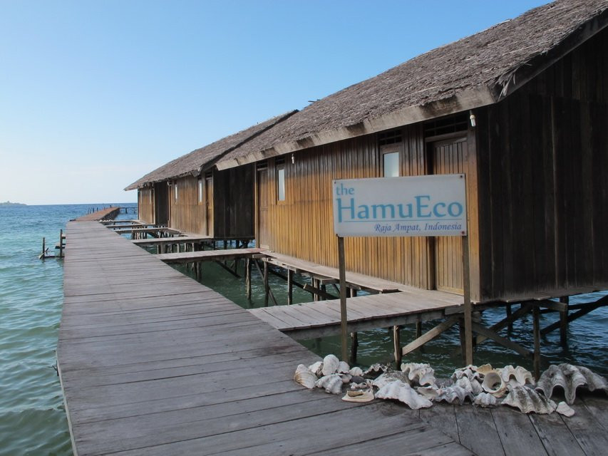 Waisai酒店住宿-Hamueco Dive Resort Raja Ampat