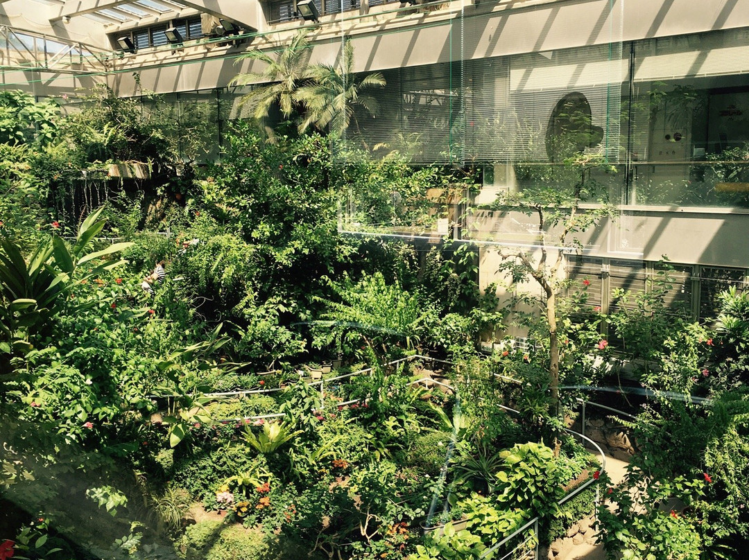 Ishikawa-ken Insectarium景点图片