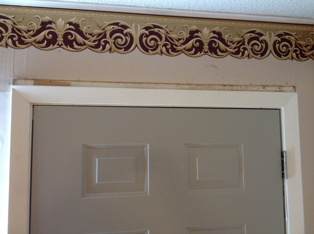 河流森林旅馆主图