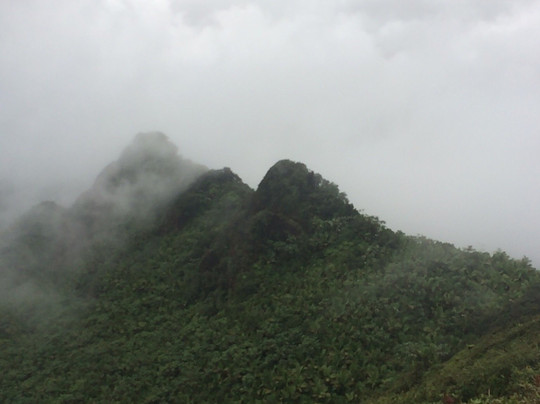 PR Paradise Tours and Transportation-圣胡安必去景点