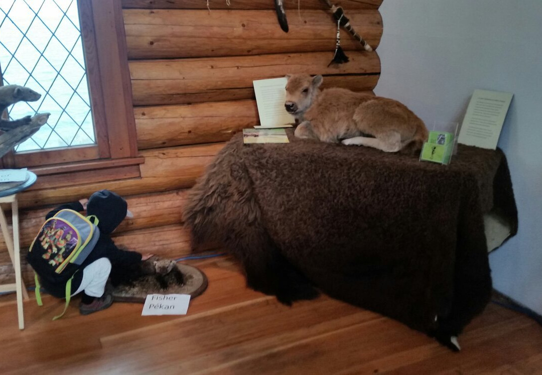 Prince Albert National Park Nature Centre景点图片