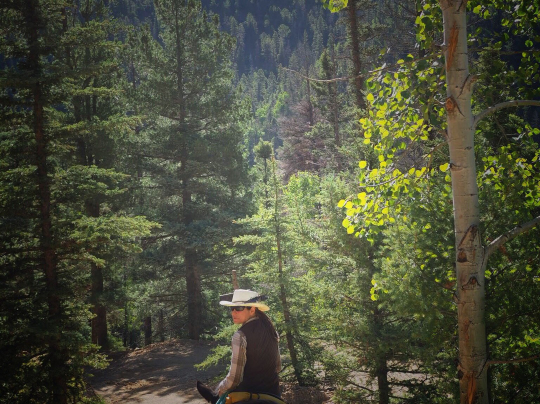 Red River Stables-红河必去景点