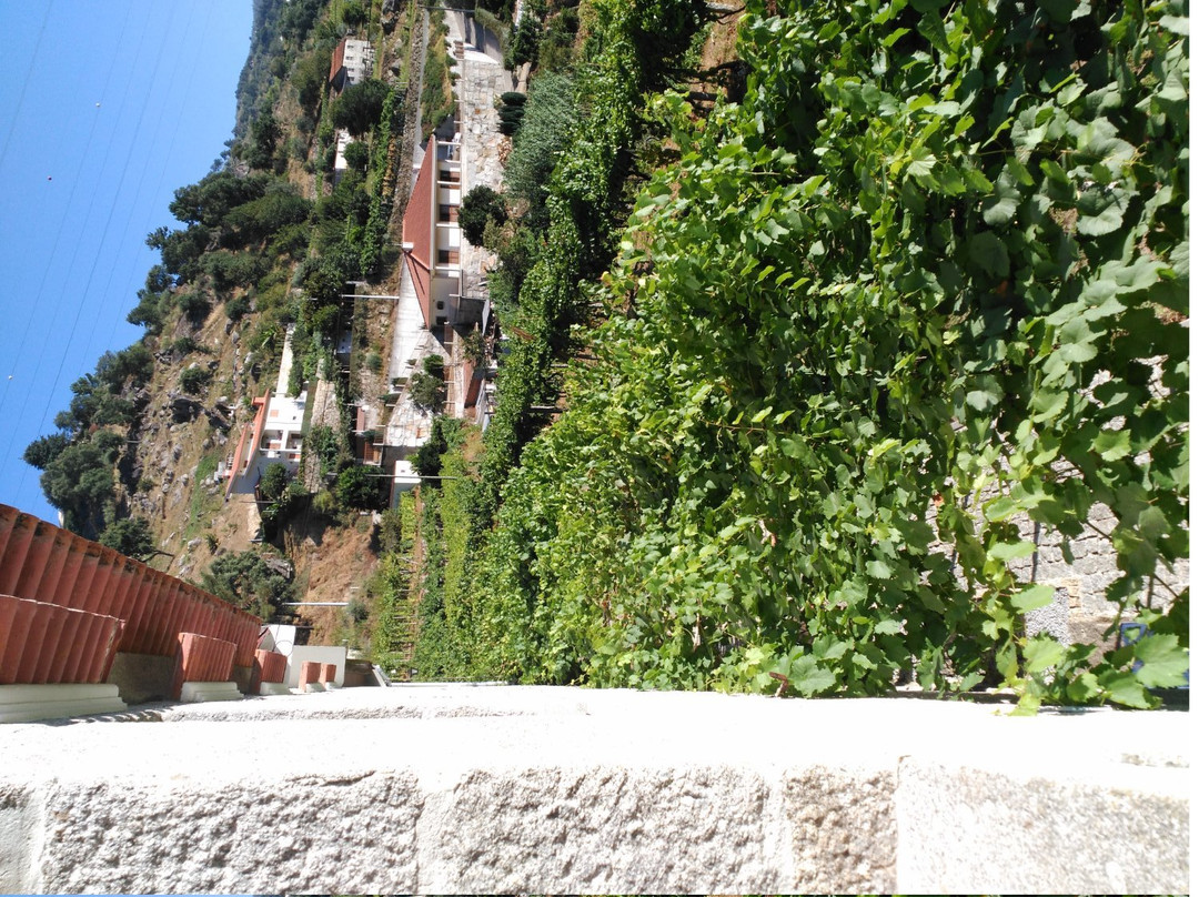 Casa do Escoivo主图