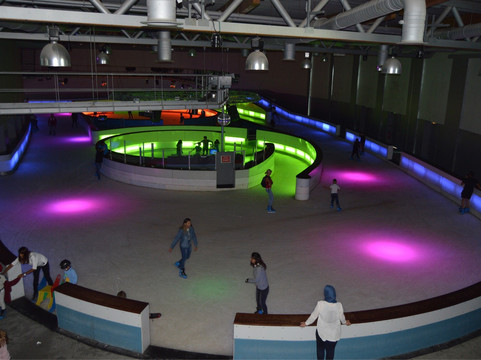 Patinoire Végapolis-蒙彼利埃必去景点