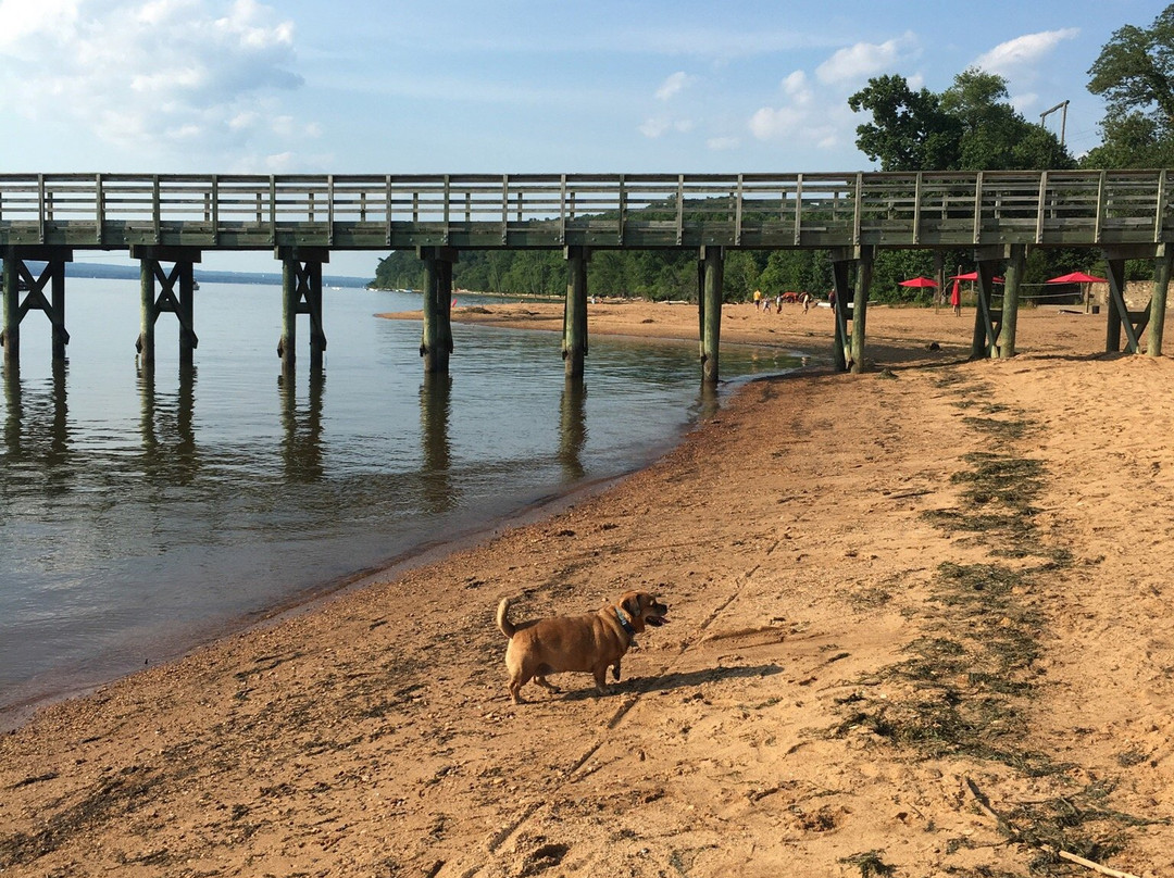 Elk Neck State Park Campground