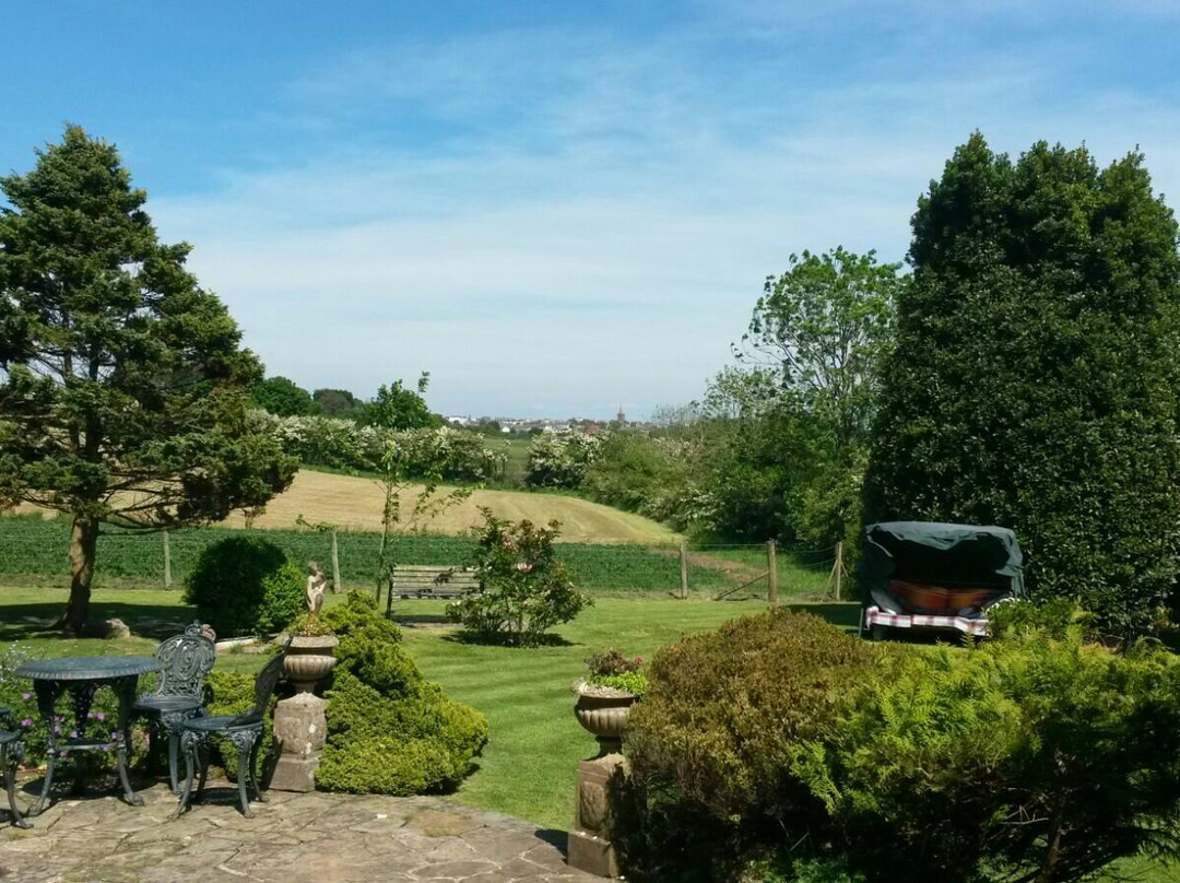 Wychwood Bed and Breakfast主图