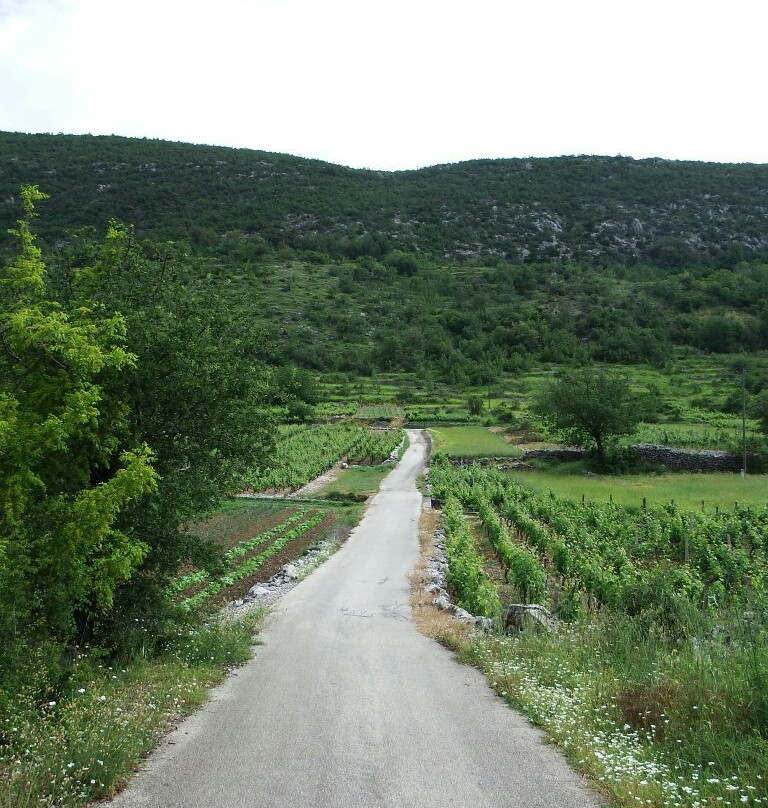 Veliki Godinj景点图片