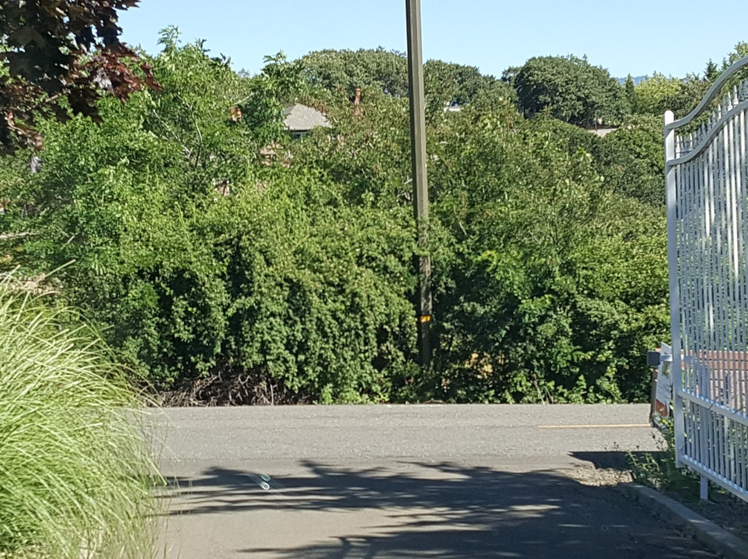 Grizzly Peak Winery-阿什兰必去景点