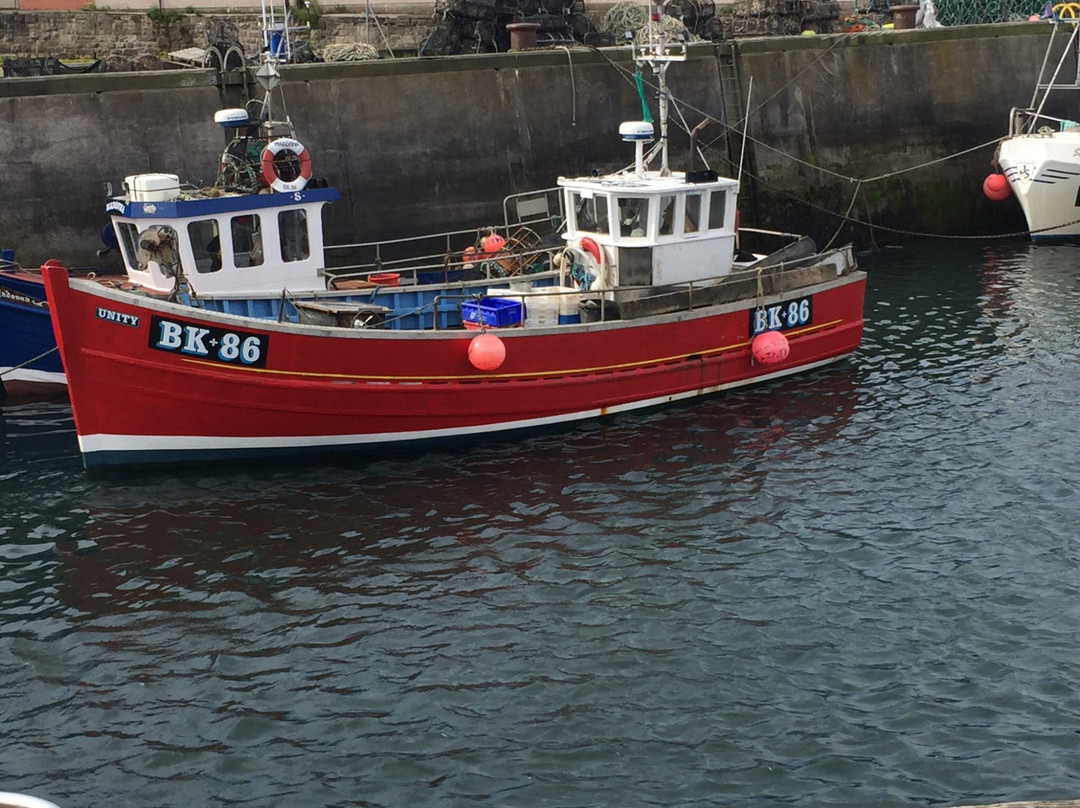 Unity Fishing Seahouses-Seahouses必去景点