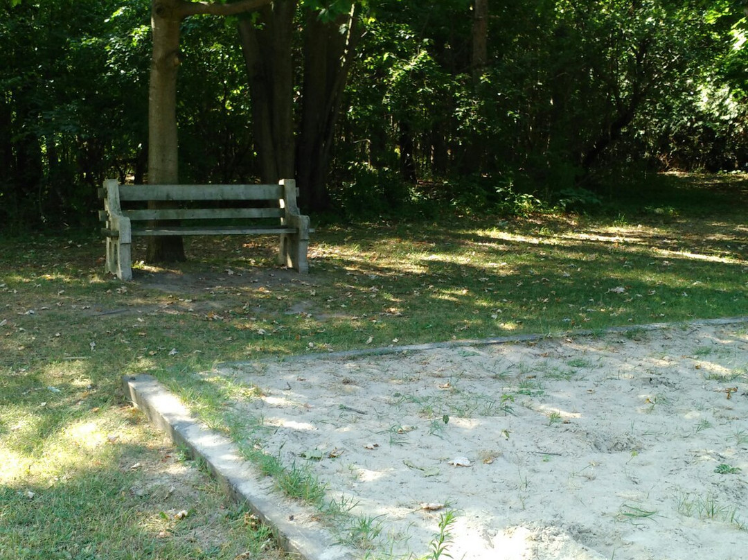 Veteran's Park-伊劳拉必去景点