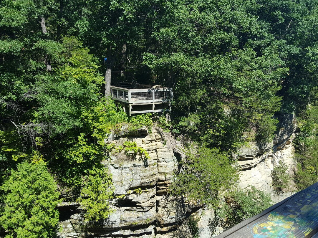 Starved Rock River Adventures-渥太华必去景点