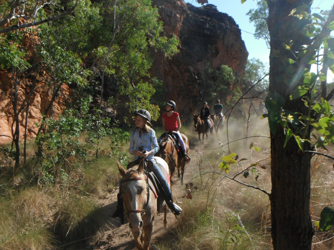 Yeehaa Trail Rides景点图片