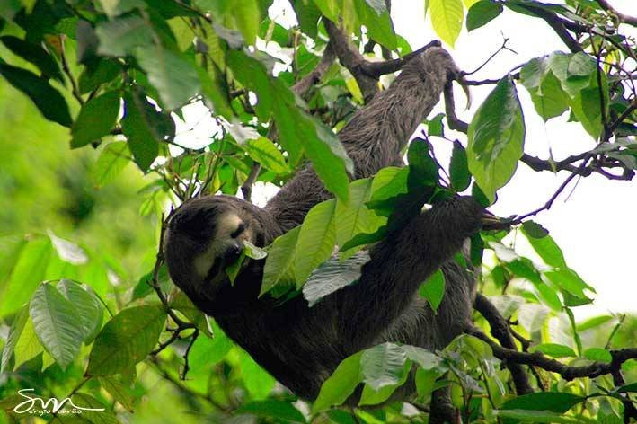 Praça Tiradentes-Teofilo Otoni必去景点