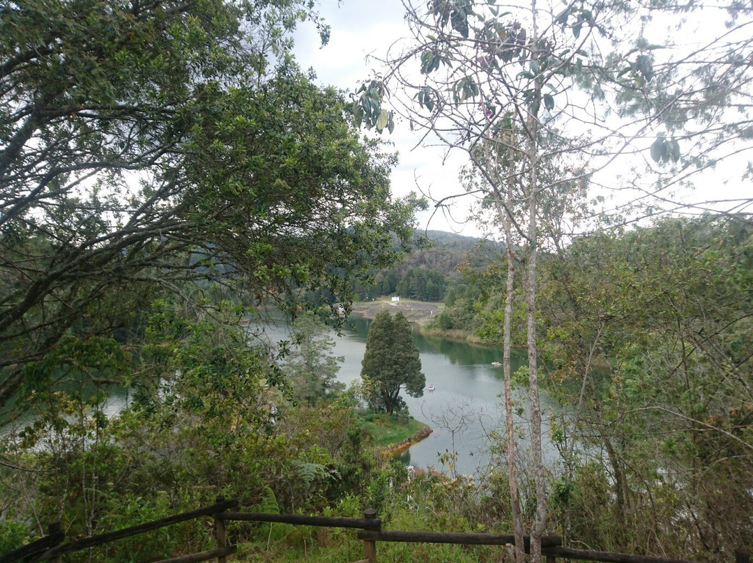 Parque Piedras Blancas景点图片