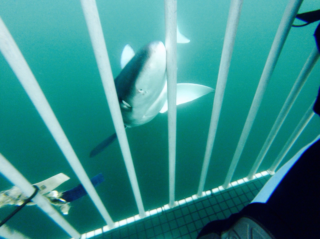 Gin Beach-蒙托克必去景点