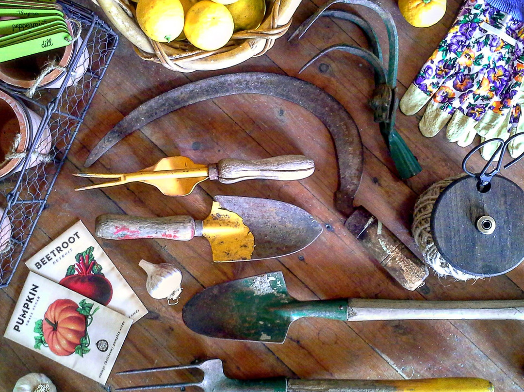 Botanica Romantica-Harden-Murrumburrah必去景点