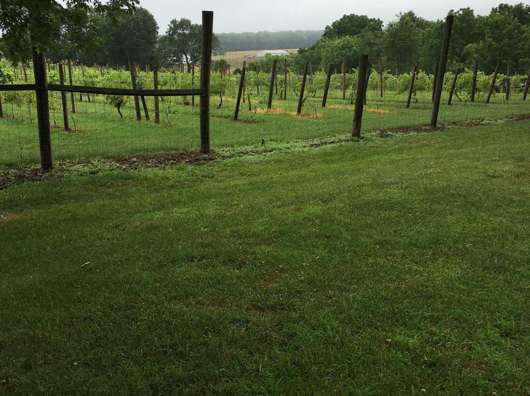 Unionville Vineyards-Ringoes必去景点