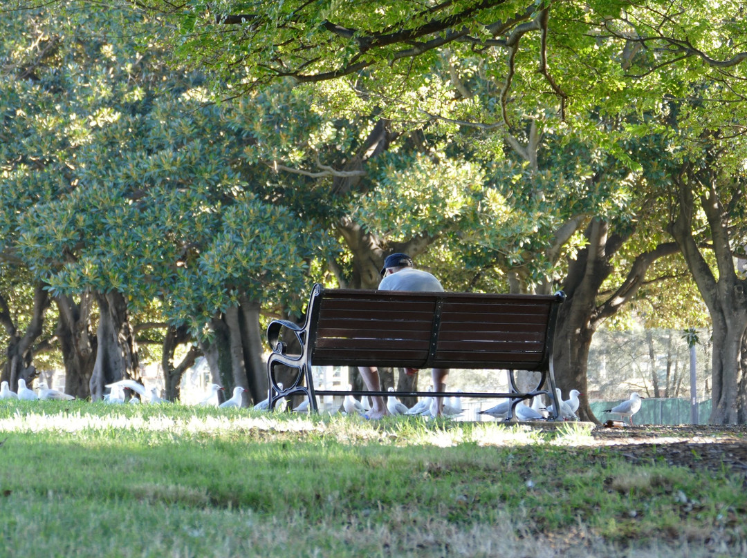 温特沃斯公园-悉尼必去景点