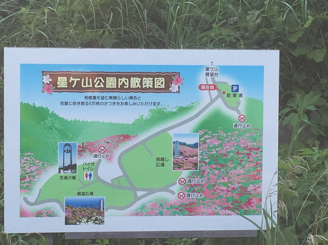 Hoshigayama Park Satsuki no sato-汤河原町必去景点
