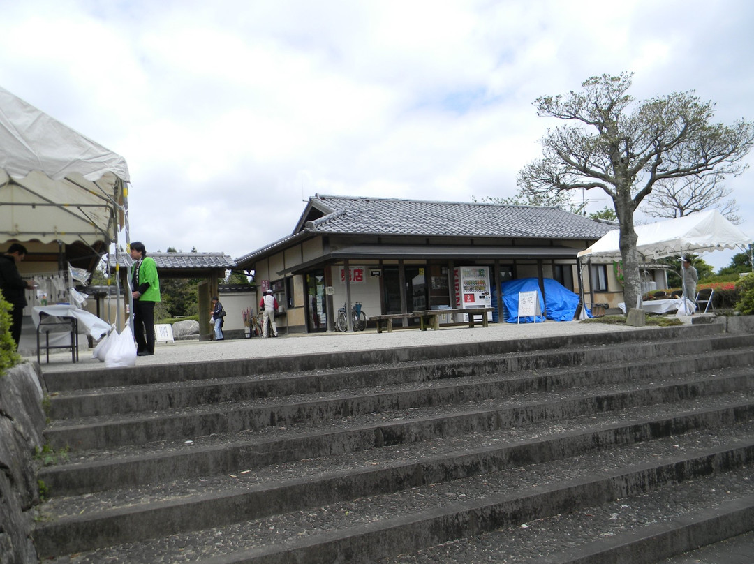 Peony and Green Hill Park-唐津市必去景点