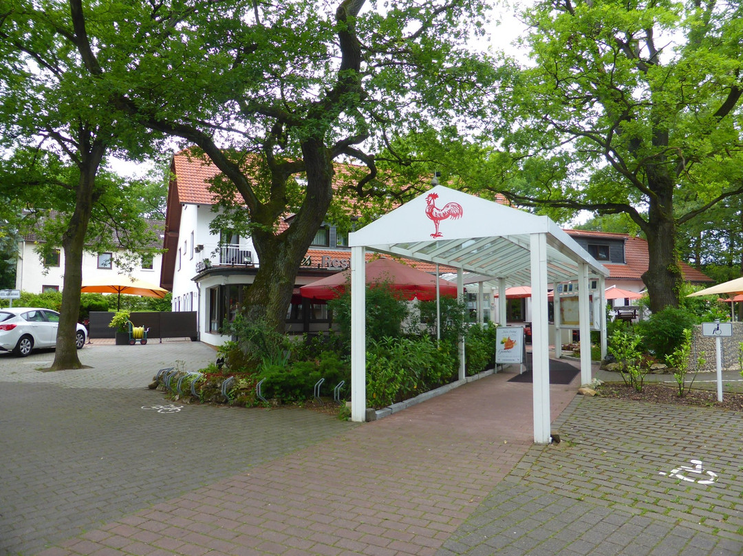 Hotel-Restaurant Roter Hahn主图