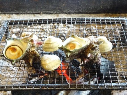 Shichirigawa Valley-君津市必去景点