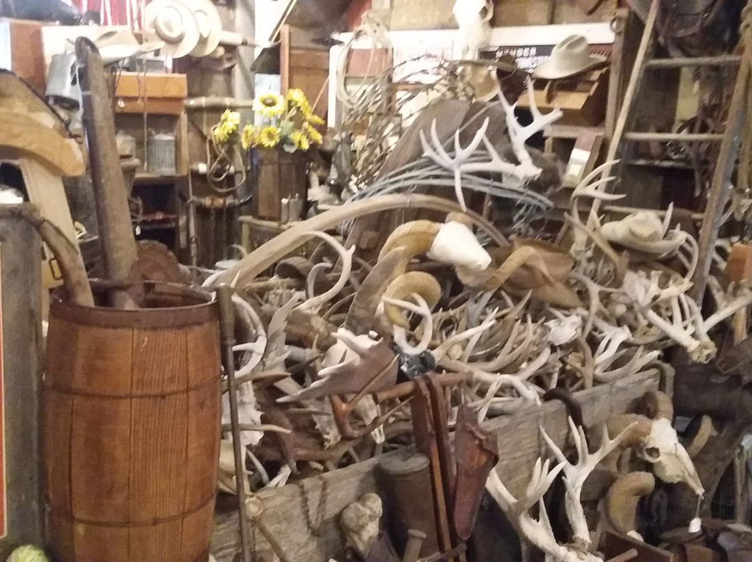 D and J's Good Ole Days Antiques and Oddities-Brady必去景点
