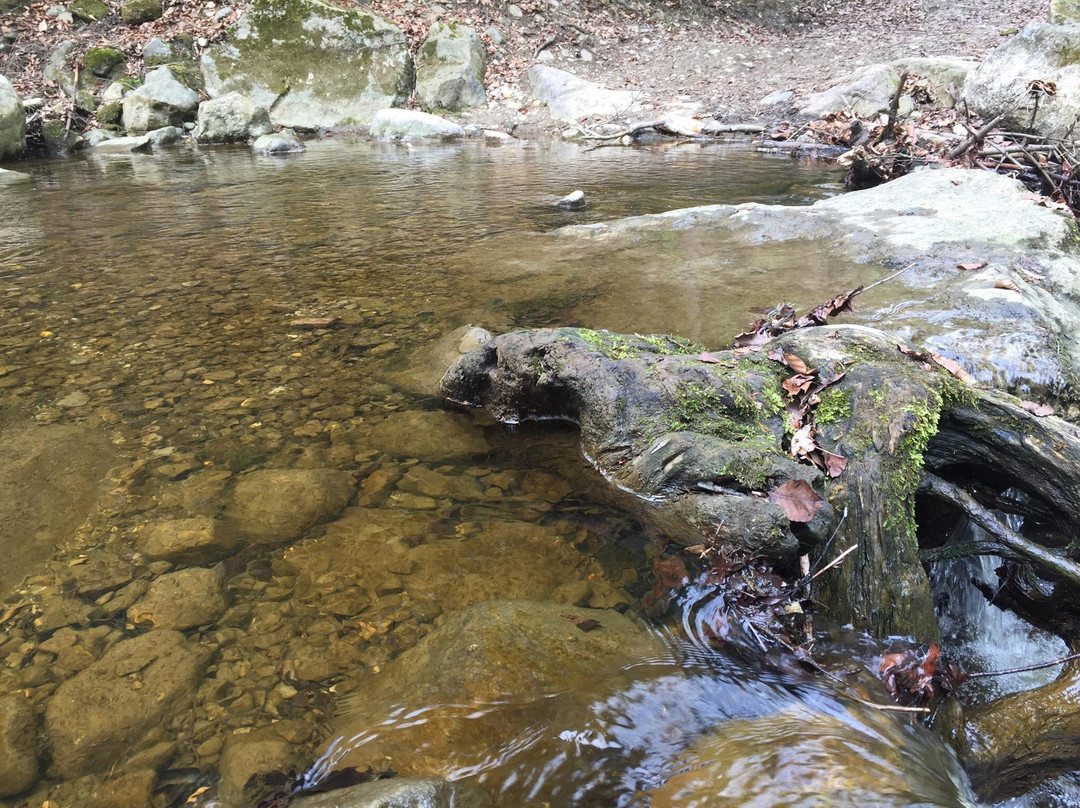 Wildkar Waterfall-湖瀚姆必去景点