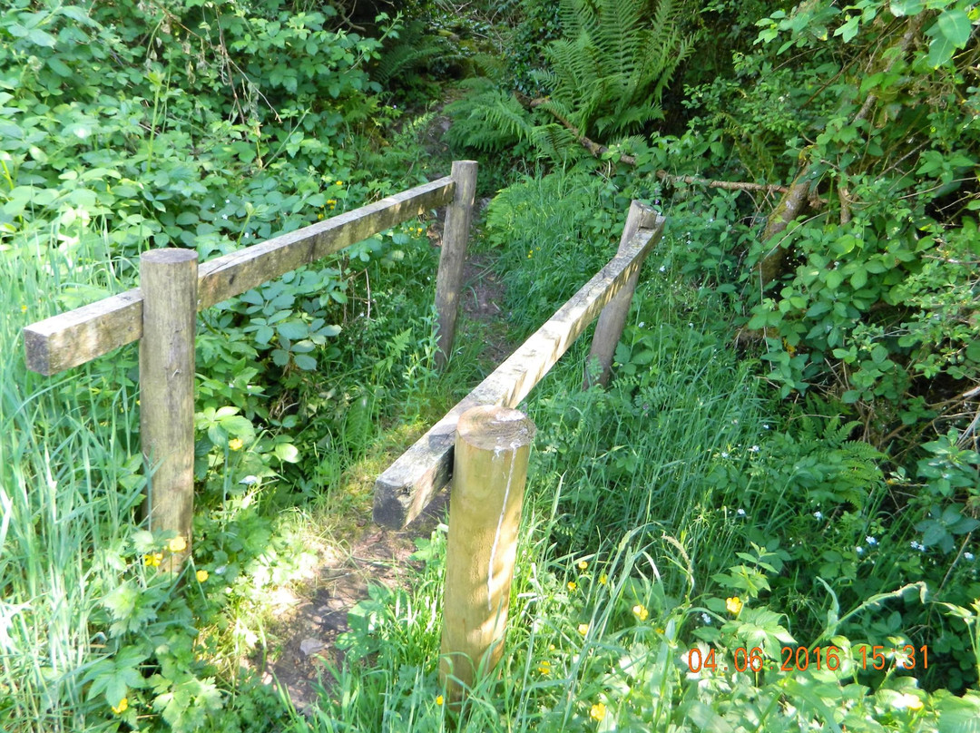 Irish Seed Savers-Scarriff必去景点