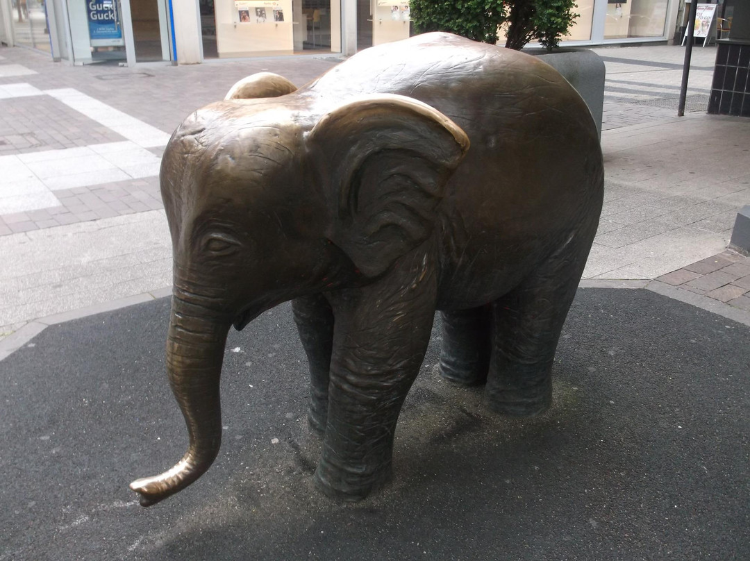 Bronzeelefant "Tuffi"景点图片