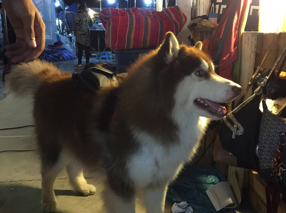 Mali Market-北革必去景点