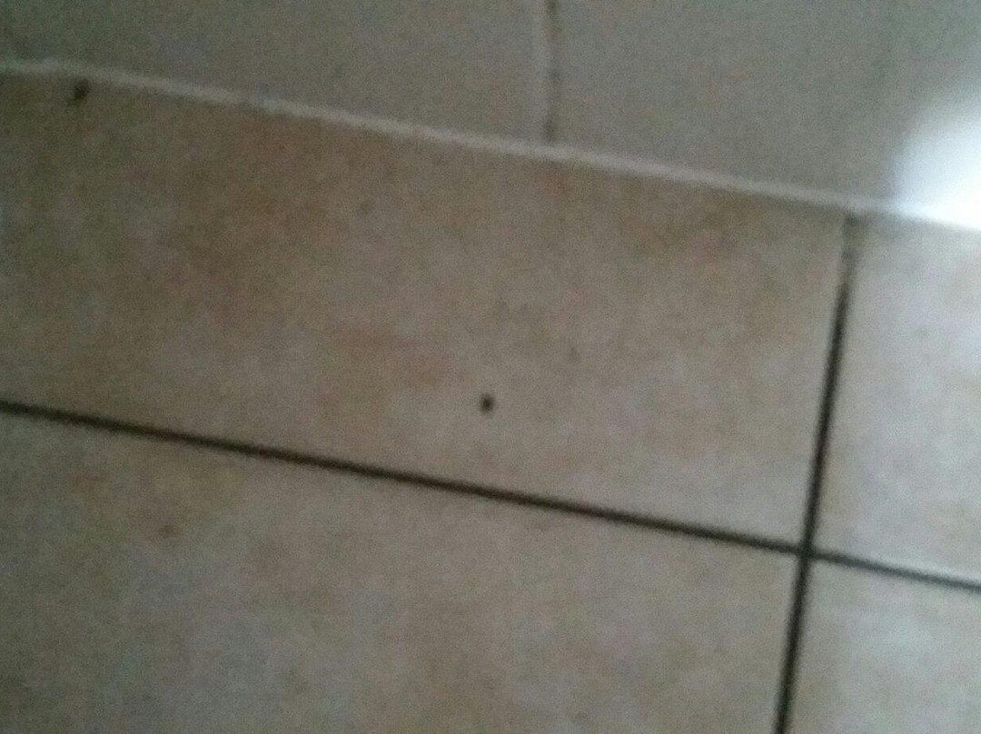 Noordzeepark Zeepolder主图