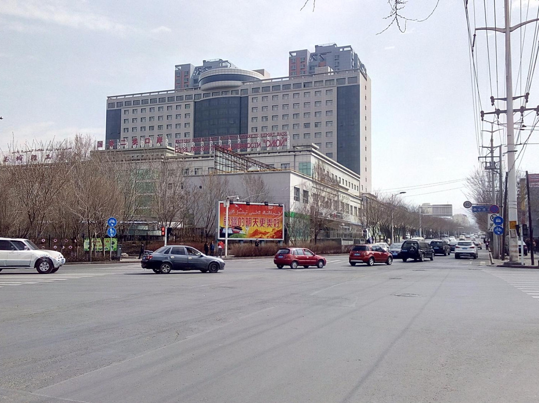 乌鲁木齐西域轻工国际酒店主图
