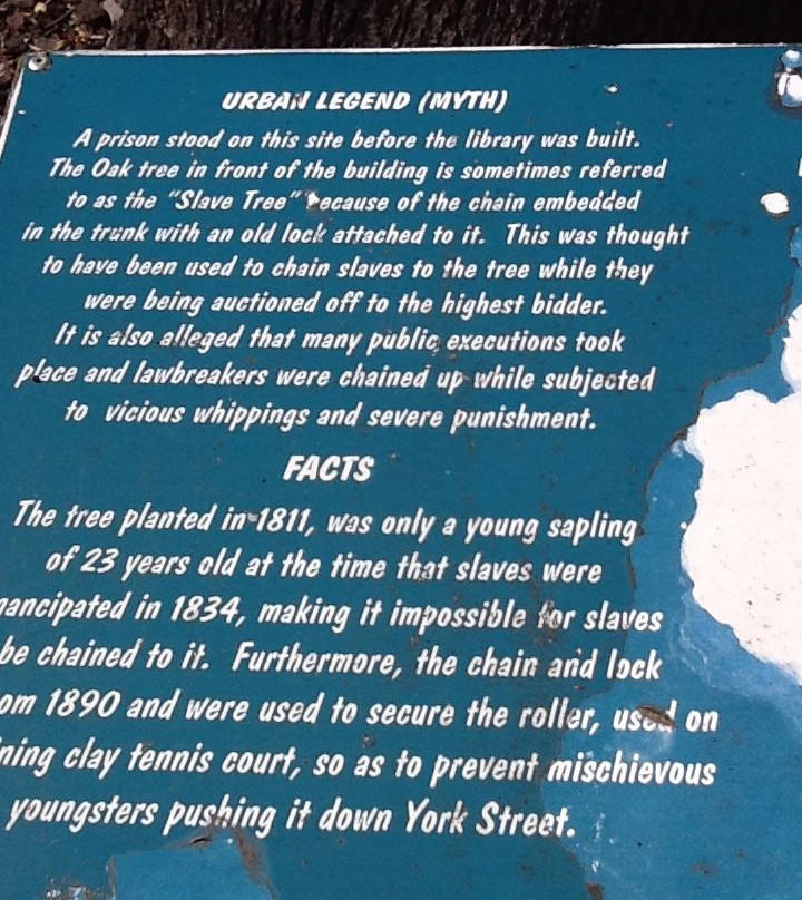 The Old Slave Tree-乔治必去景点