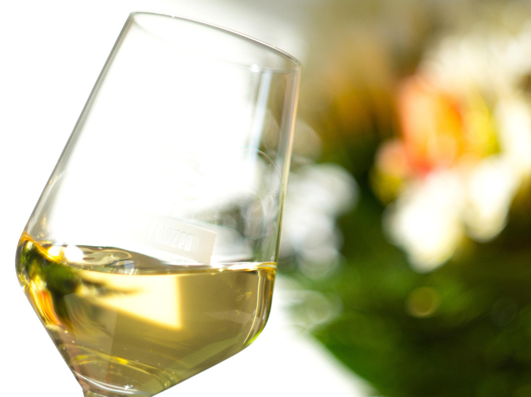 Weingut Oster-Franzen-Bremm必去景点