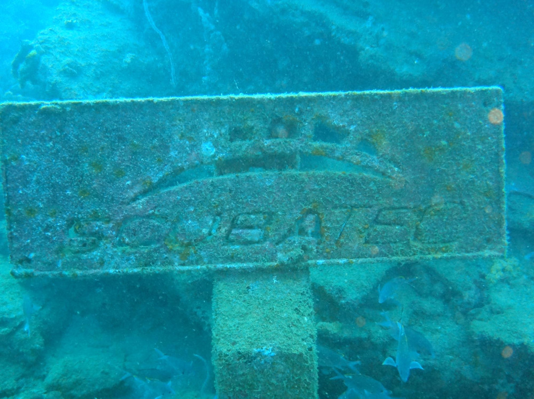 Scubatec-Chichiriviche de la Costa必去景点