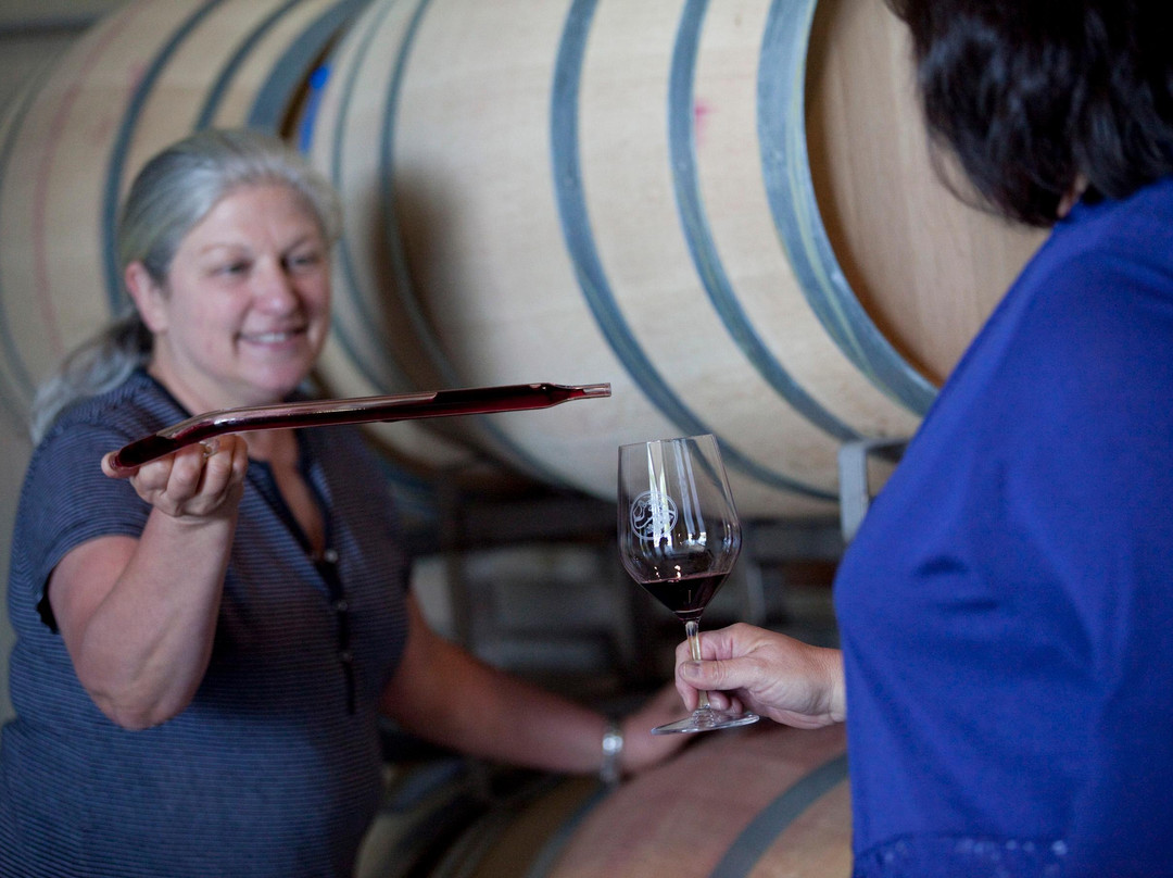 Lasseter Family Winery景点图片
