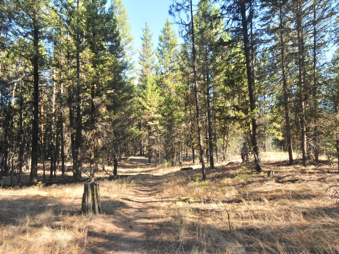 Johnstone Creek Provincial Park景点图片