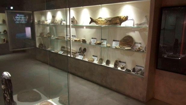 Museo de Fósiles y Minerales景点图片