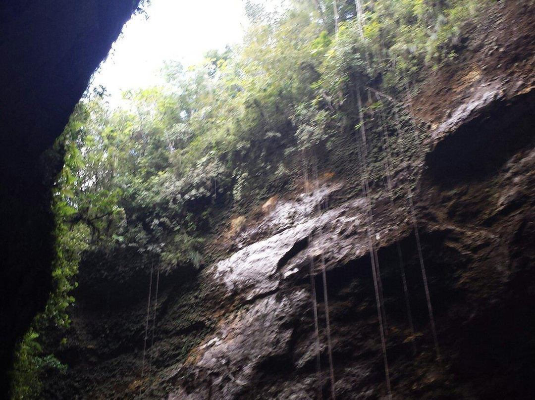Clara Cave (Cueva Clara)景点图片