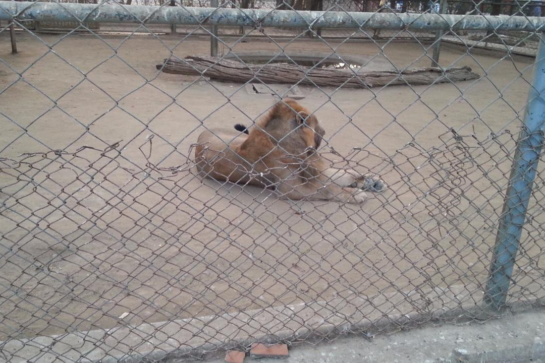 Karachi Zoo-卡拉奇必去景点