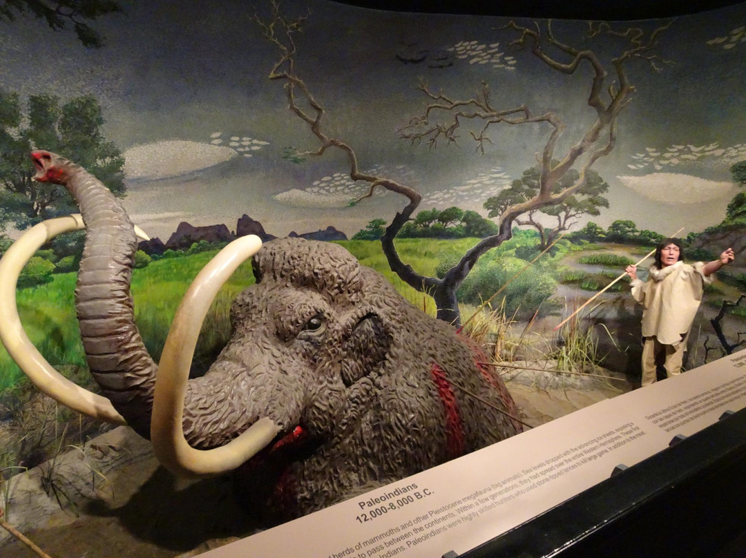 El Paso Museum of Archaeology-埃尔帕索必去景点