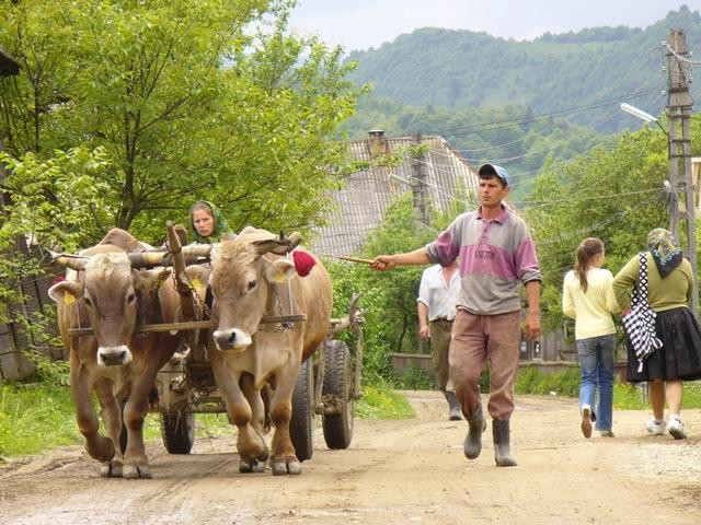 Maramures Tours景点图片