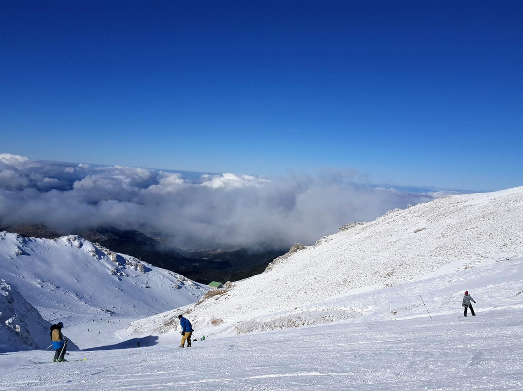 Kalavrita ski resort景点图片